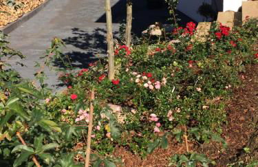 Appartement Rosengarten - Foto 12