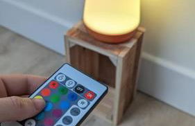 Le cosy botanique - Foto 17