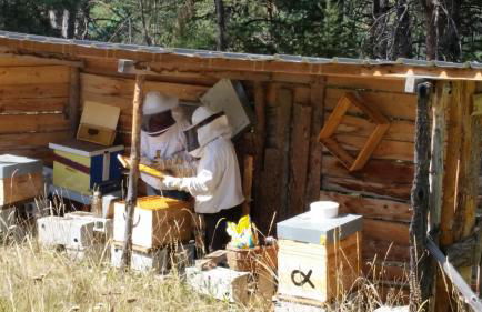 Appartement Barcelonnette Ubaye, Provence - Foto 30