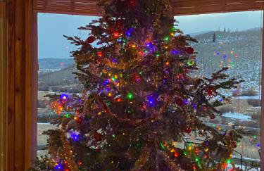 Wapiti Retreat at 22 West Cabins and Recreation - Foto 49