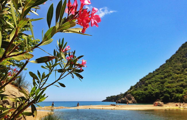 Kadir's Tree Houses - Photo 26