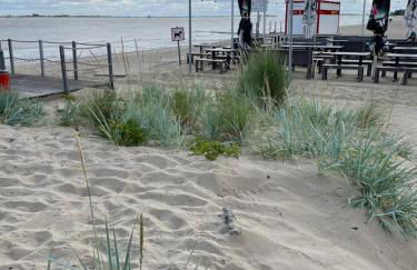 Deichperle Krautsand - Foto 12