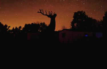 Newton Stewart - Lodge - Sleeps 4 - Garden - Foto 7