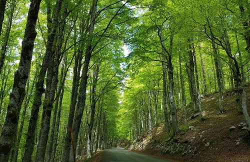 Il Grottino - Foto 10