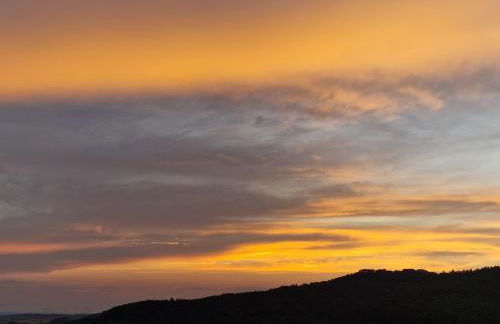 Ferienwohnung Starennest mit direktem Harzblick - Foto 21