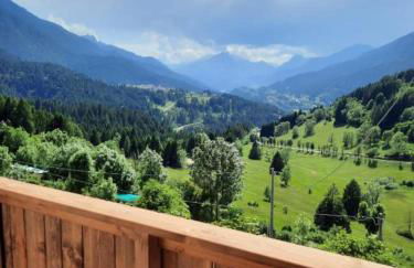 Ama Dolomiti - Residence - Photo 52