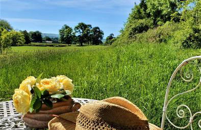 Heron's View - Photo 15