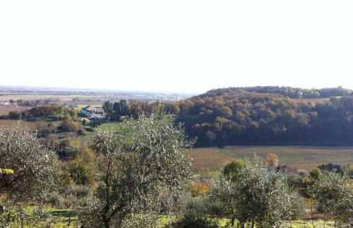 Corte Monticello - Foto 28