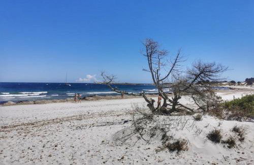 Casetta a due passi dal mare - Foto 24