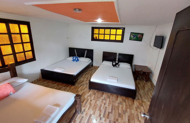 finca hotel villa flor - Foto 1