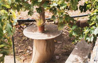 Casa rural Los Madroños - Photo 38