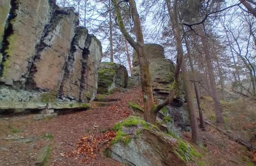 Lauschablick FeWo Thüringen - Foto 31