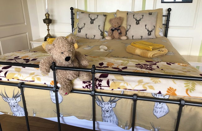 Monument Field South Brent - Foto 20