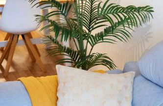 El Toro Apartments - Photo 4