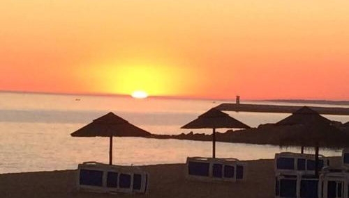 RS Apartamento - Foto 5