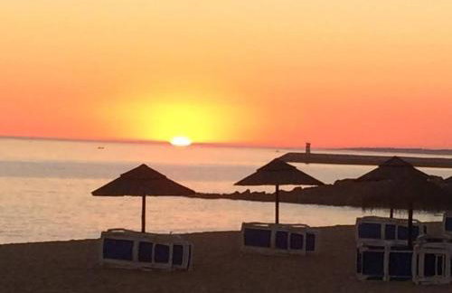 RS Apartamento - Foto 5