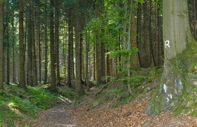 Cozy Holiday Home in Großbreitenbach near Schwarza Valley - Foto 23