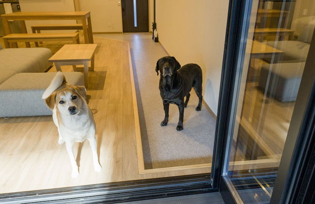 Rakuten STAY Nikko Hoden - Photo 40