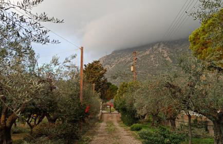 Nafpaktos cottage by the sea for travelers and dreamers! - Foto 17