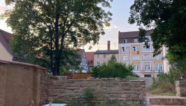 Little Fine Apartment close to Leipzig - Foto 3, Garden