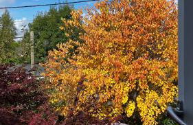 Historic, traditional & Spacious Wiltshire Cottage - Foto 39