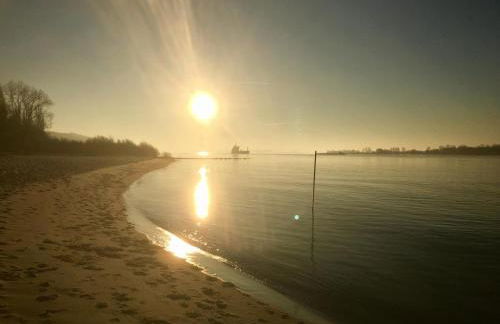 Wohnen im Alten Land - Photo 33