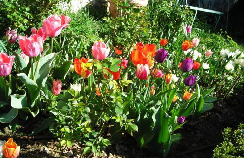 Belvilla by OYO Castello Grimalda - Le Zie - Foto 57