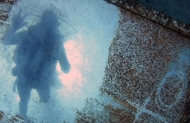 Playa Blanca Beginner Scuba Diving Experience - Photo 4