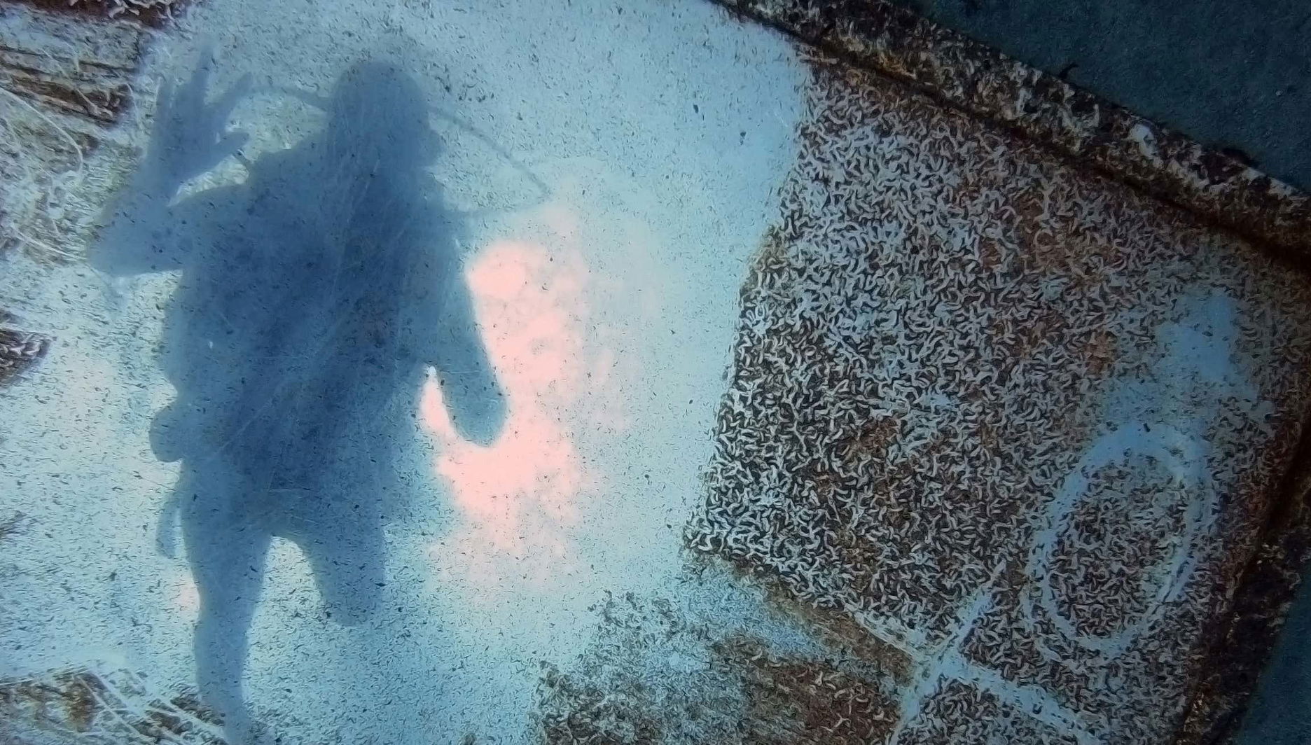 Batismo de mergulho em Playa Blanca