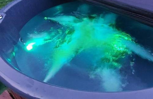 Sielskie Góry - Foto 12