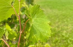 Casa sul fiume - Foto 42