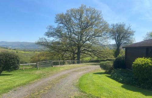 Whitehall Farm - Photo 25