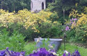 Rapunzel trifft Dornröschen - Foto 20