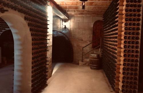 CASA TURÍSTICA Villa Carmen, CON AMPLIO JARDIN QUE INCLUYE BARBACOA, 2 PORCHES, PARKING PRIVADO Y PISCINA - Foto 63