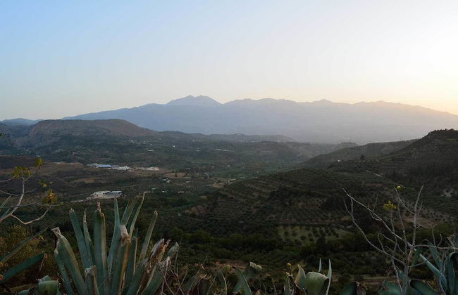 plakalona - Photo 20