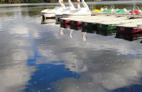 Wohlfühl-Apartment in Zwickau - Foto 20