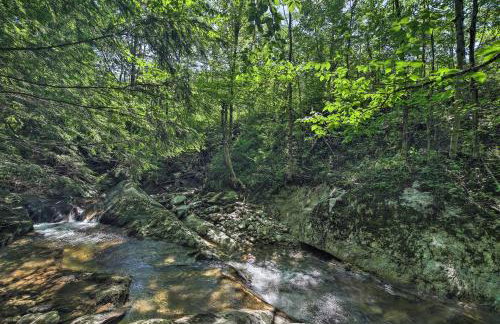 Ski Lodge Mtn Retreat with Fire Pit, Deck and Views! - Foto 30