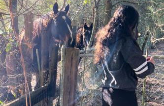 Happy Place near WEC , Natural Springs,Zip-Line - Photo 52