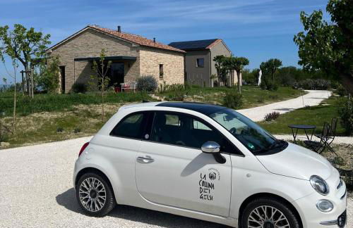 La Collina dei Gelsi - Foto 32