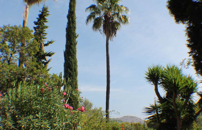 Villa Canyamel, Piscina Privada, WiFi, Jardin, Tranquilidad - Foto 35