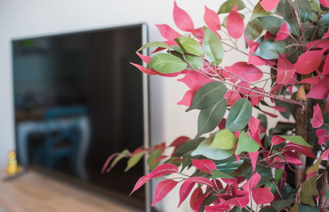 L'ocean Pacifique - Foto 30