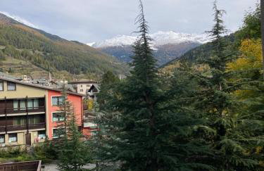 AbitArt Bormio - Il Pettirosso - Foto 21