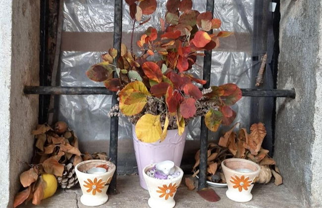 Countryside House Leila - Foto 8