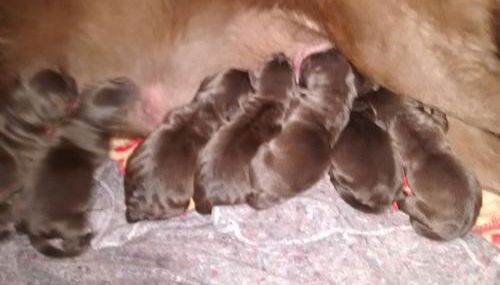 Casarao dos Reis - Foto 3