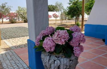 Monte do Sobreiro - Foto 33