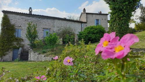 Agriturismo del Frontino - Lo Studio - Foto 2