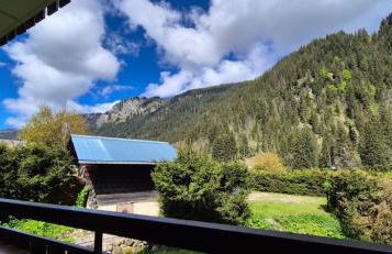 Appartement le Mont de Grange - Foto 12