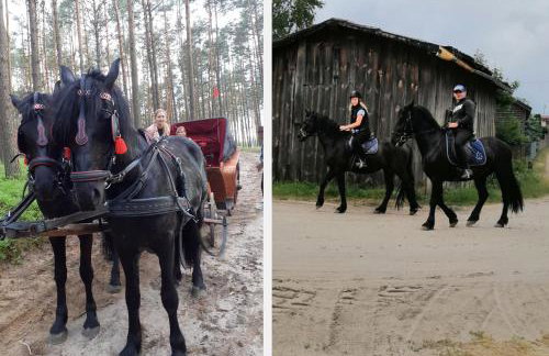 Lustro Wody - Foto 44