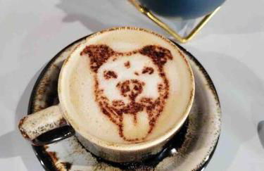 Stylish Cozy Family Cottage with Golf Cart - 1 mile to Dwntn Ocean Springs and beach - Foto 30