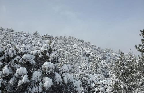 Pine Mountain Club Family Vacation House - Foto 3